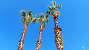 Le 3 Palme Morciano Di Leuca